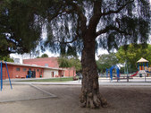 Enlarge photo 14