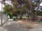 Enlarge photo 21