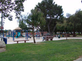 Enlarge photo 59