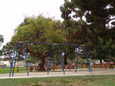 Enlarge photo 61