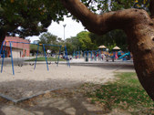 Enlarge photo 68
