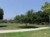 Enlarge photo 31