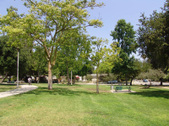 Enlarge photo 32