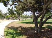 Enlarge photo 34