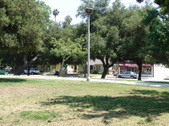 Enlarge photo 36