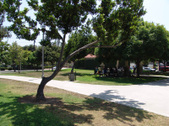 Enlarge photo 37