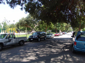 Enlarge photo 46