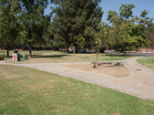 Enlarge photo 13