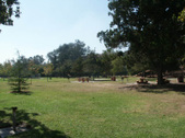 Enlarge photo 25