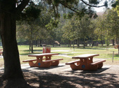 Enlarge photo 30