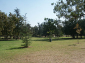 Enlarge photo 33