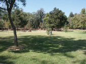 Enlarge photo 35