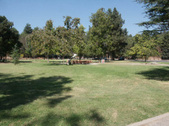 Enlarge photo 36