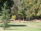 Enlarge photo 38