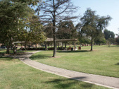 Enlarge photo 39