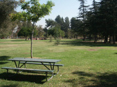Enlarge photo 42