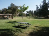 Enlarge photo 43