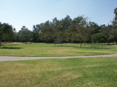 Enlarge photo 45