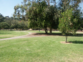 Enlarge photo 46