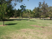 Enlarge photo 47