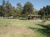 Enlarge photo 48