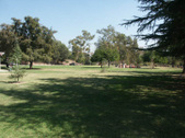 Enlarge photo 49