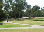 Enlarge photo 51