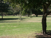 Enlarge photo 52