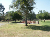 Enlarge photo 54