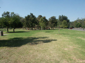 Enlarge photo 55