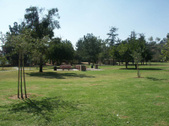 Enlarge photo 58