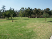 Enlarge photo 59