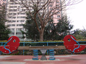 Enlarge photo 18