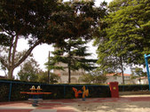 Enlarge photo 19