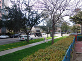 Enlarge photo 25