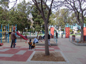Enlarge photo 27