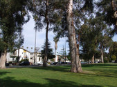 Enlarge photo 45