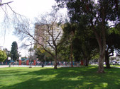 Enlarge photo 47