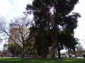Enlarge photo 49