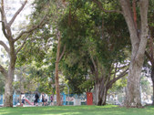 Enlarge photo 50