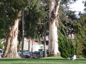 Enlarge photo 52