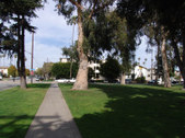 Enlarge photo 53