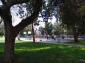 Enlarge photo 55