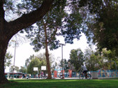 Enlarge photo 57