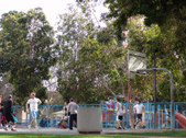 Enlarge photo 58