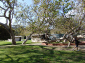 RUSTIC CANYON PARK