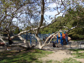 Enlarge photo 15