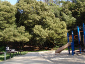 Enlarge photo 28