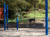 Enlarge photo 29
