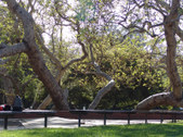 Enlarge photo 34